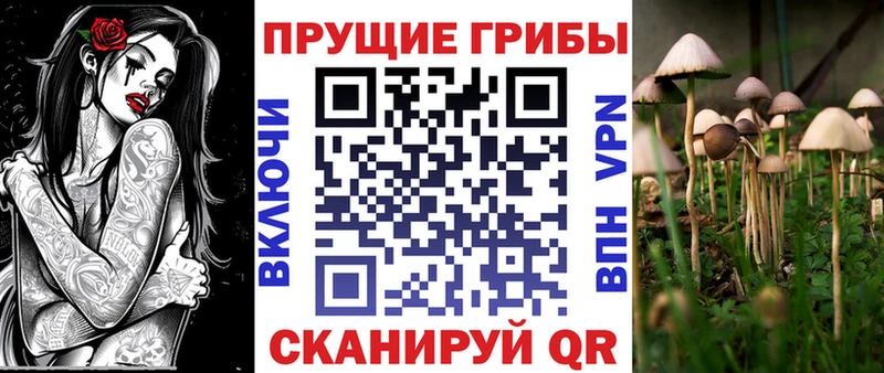 Псилоцибиновые грибы GOLDEN TEACHER  blacksprut как войти  Шарыпово 