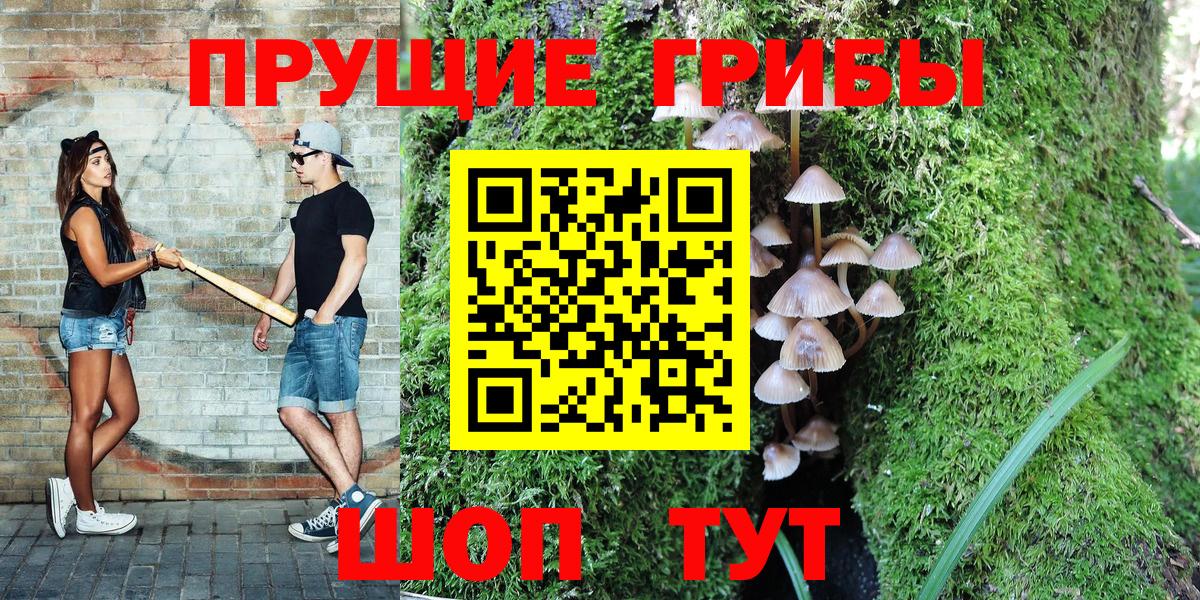 продажа наркотиков  Галлюциногенные грибы Psilocybe  Вход с VPN  Шарыпово  Псилоцибиновые грибы Magic Shrooms 